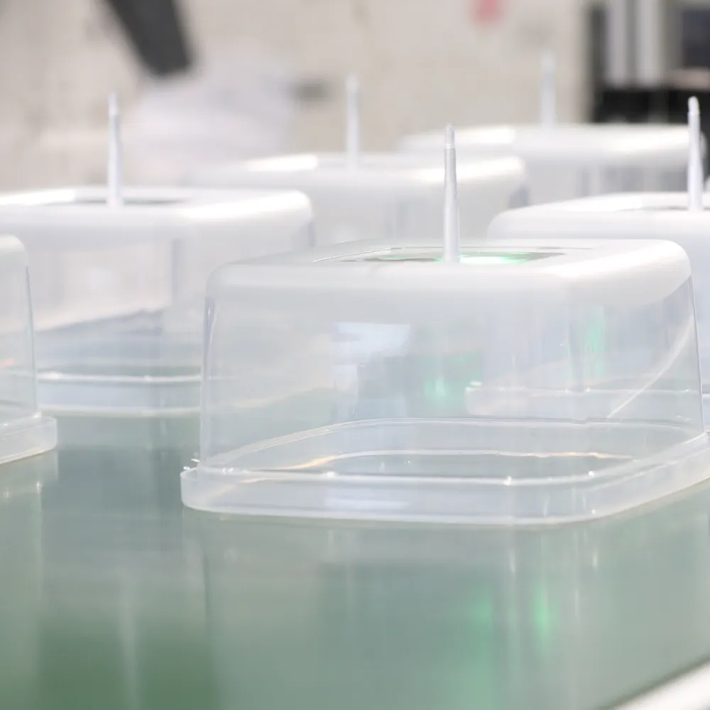 Polypropylene Containers Thermoforming