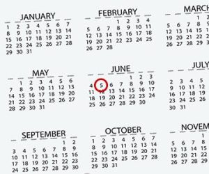 Custom Plastic Products Created by Deadline